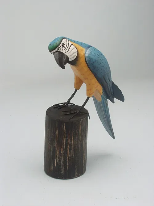 Blue Macaw on Log