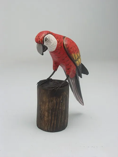 Red Macaw on Log
