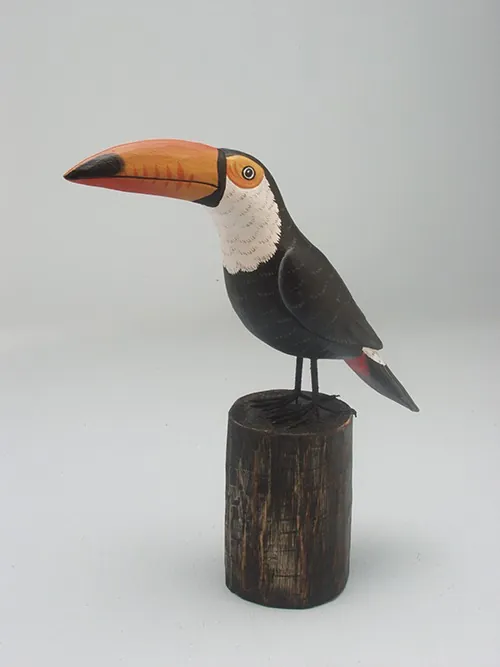 Toucan on Log