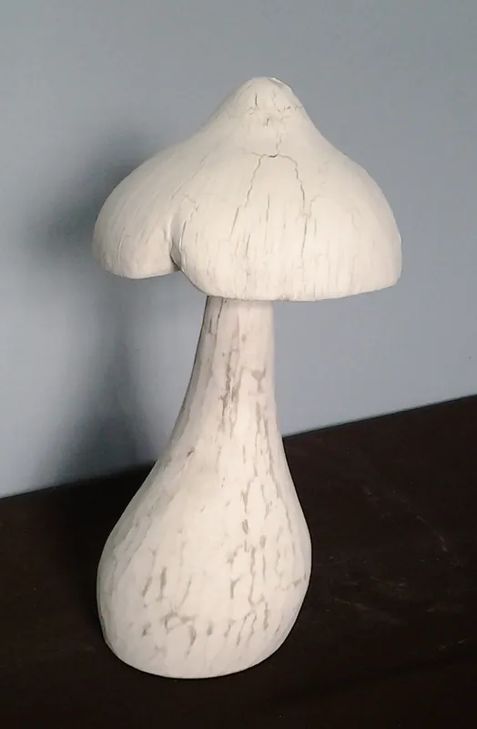 White Washed Mushroom